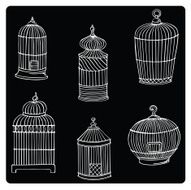 vector illustration silhouettes of cells