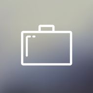 Suitcase thin line icon N3