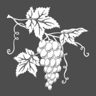 Vector grapes