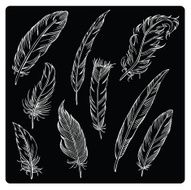 vector silhouette of different feathers N4
