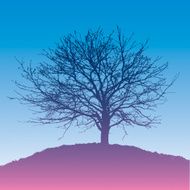 Silhouette of the tree on a hill