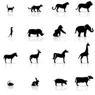 Icon Set Animals