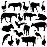 set silhouettes zoo animals N2