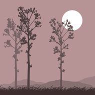 Moon Tree