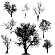 Vector silhouette of tree N4