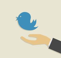 hand with bird flat icon