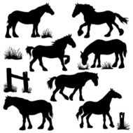 Clydesdale Horse Silhouettes