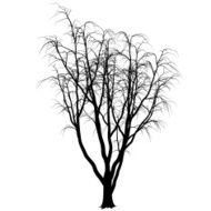 fantastic tree N6