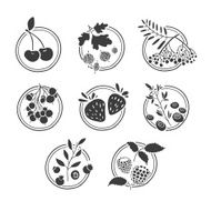 Set of monochrome logos badges labels with berries and herbs