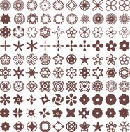 Flower Vector Shapes and Decorations Set