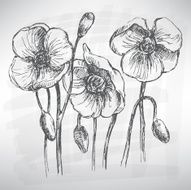 Flowers set N14