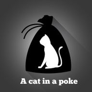 Cat in a poke