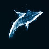 Neon dolphin abstract futuristic art