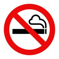 No Smoking Sign N88