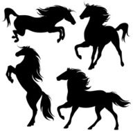 Horses set N2