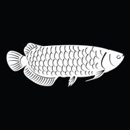 Fish Silhouette N10
