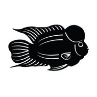 Fish Silhouette N12
