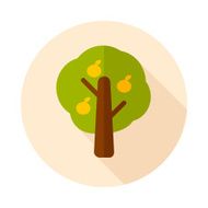 Fruit tree flat icon with long shadow