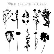 Silhouettes of wild flowers and leaves vector N8