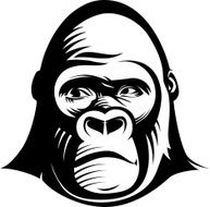 Gorilla head N2
