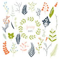 Collection of spring flowers leaves dandelion grass