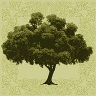 Tree N61
