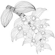 Graphic flower