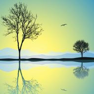 Vector landscape N5