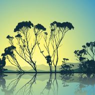 Trees silhouette N4