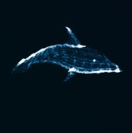 Neon dolphin abstract futuristic art N2