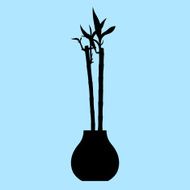 Bamboo N21