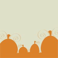 Autumn Pumpkin Patch