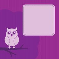 Night owl frame