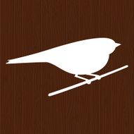 Bird looking forward