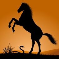 Horse N71