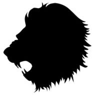 lion N18