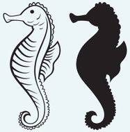 Silhouette seahorse
