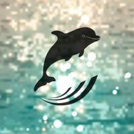 dolphin logo