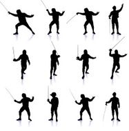 Fencing Silhouette Collection N2