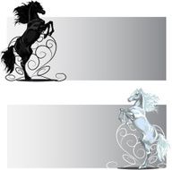 St Valentine rear horse banners black and white