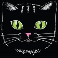 Black cat head N2