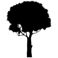 Tree Drawn Silhouette N2