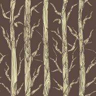 Forest N22