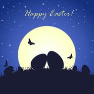 Easter eggs and butterfly