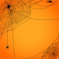 Cobweb with spiders