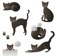 Black Cat N26