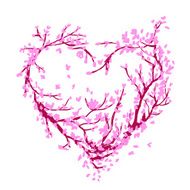 Heart shape made from sakura tree for your design