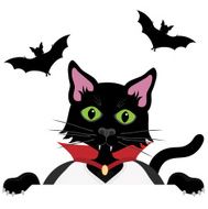 Black Halloween Cat dressed as a Vampire peeping over