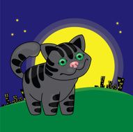 Cat night city animal
