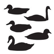 black silhouettes of birds